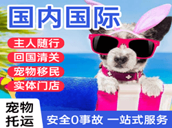 晋江空运地址国际宠物托运 【国